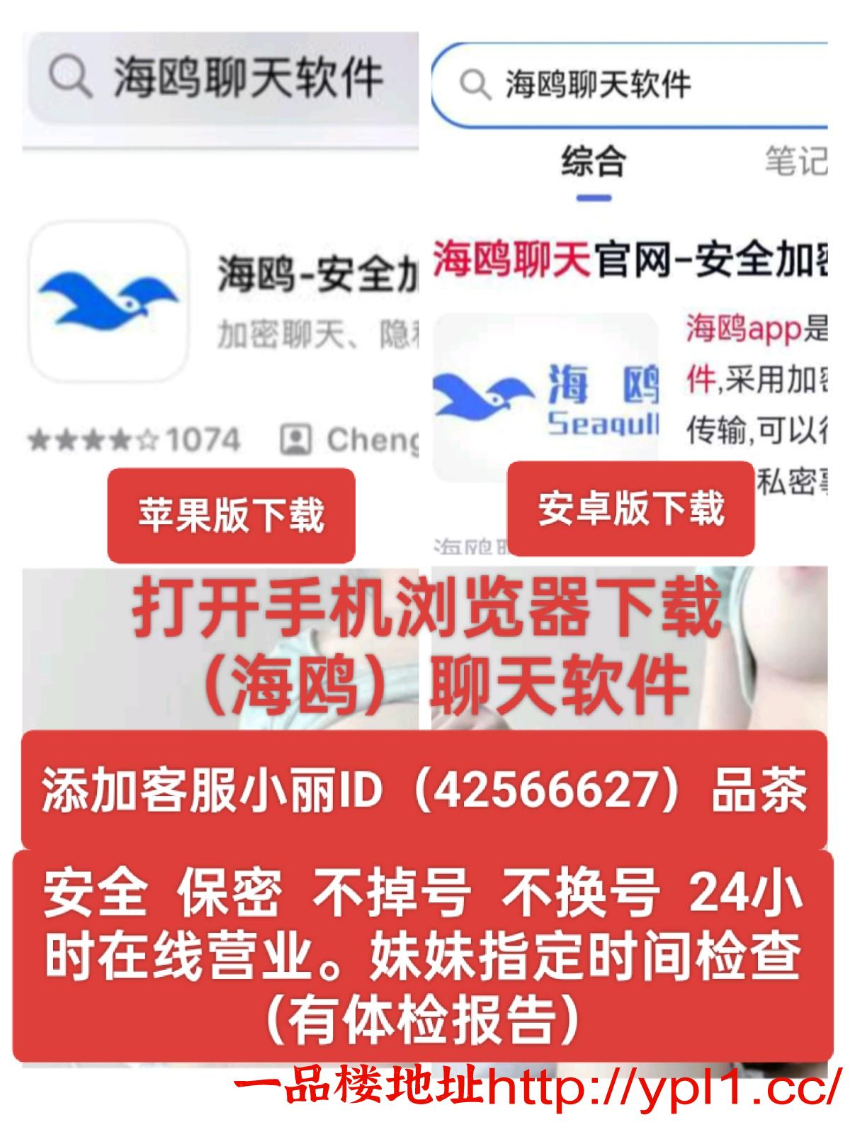 IMG_20251020_020505_011241.jpg