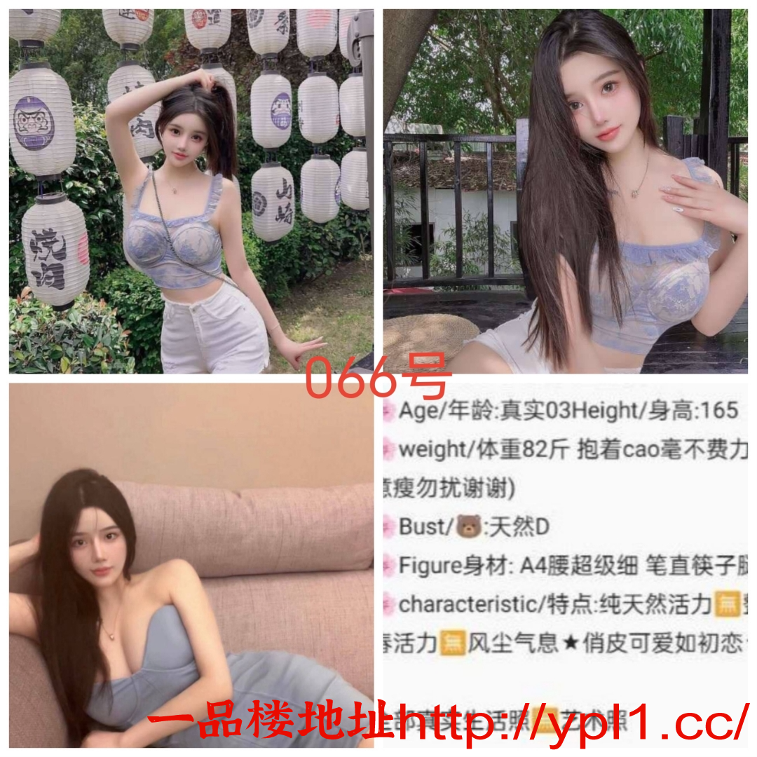 MotoDrawPdf_Picture_13_1772564775414.png